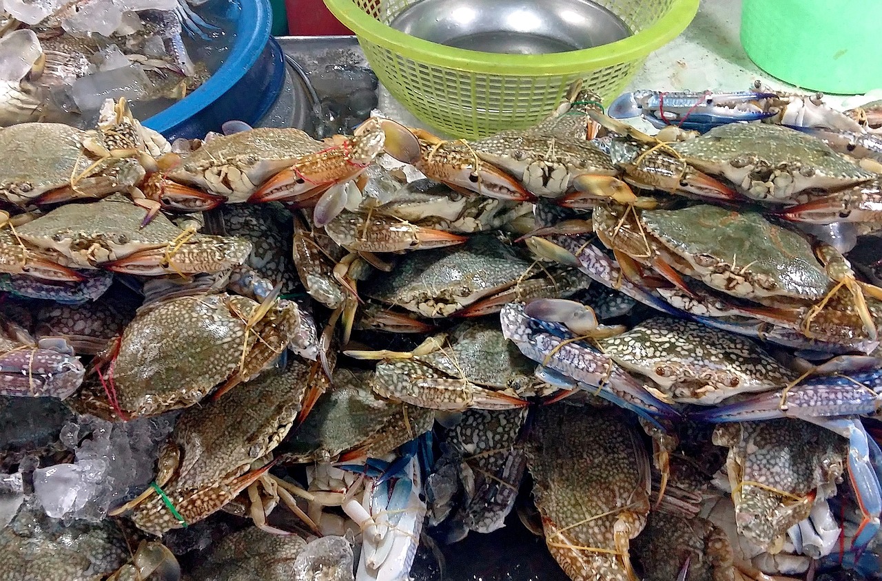 宝安鹤洲美食攻略，探索深圳宝安区的隐藏美食天堂