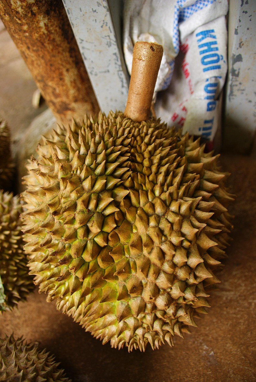三亚特色美食地方，品味热带风情的味蕾之旅